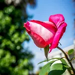 Hébergement de vacances Sofia