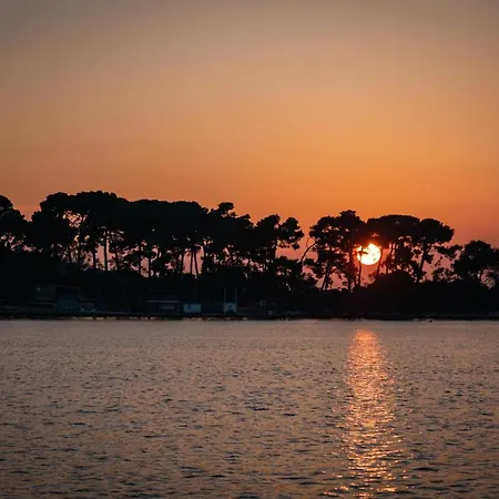 Sofia בית נופש פורץ