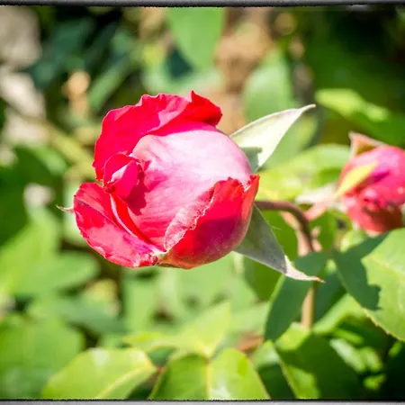 בית נופש Sofia *