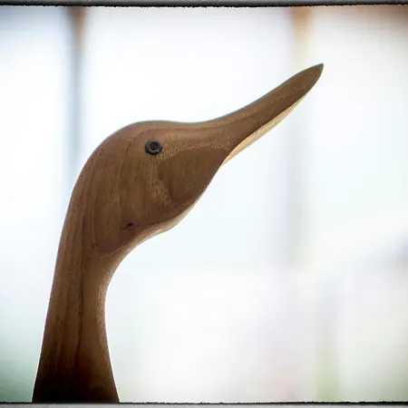 Sofia בית נופש פורץ