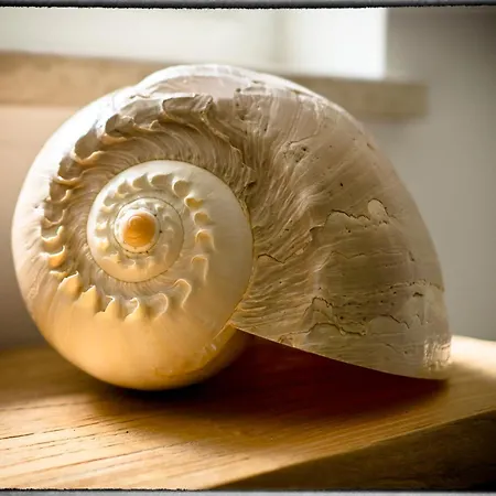 בית נופש Sofia פורץ