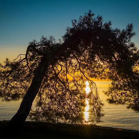 Semesterbostad Sofia