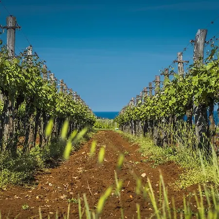 Semesterbostad Sofia Poreč