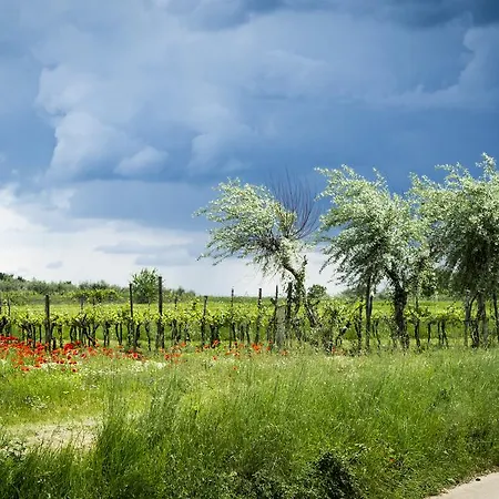 Sofia Semesterbostad