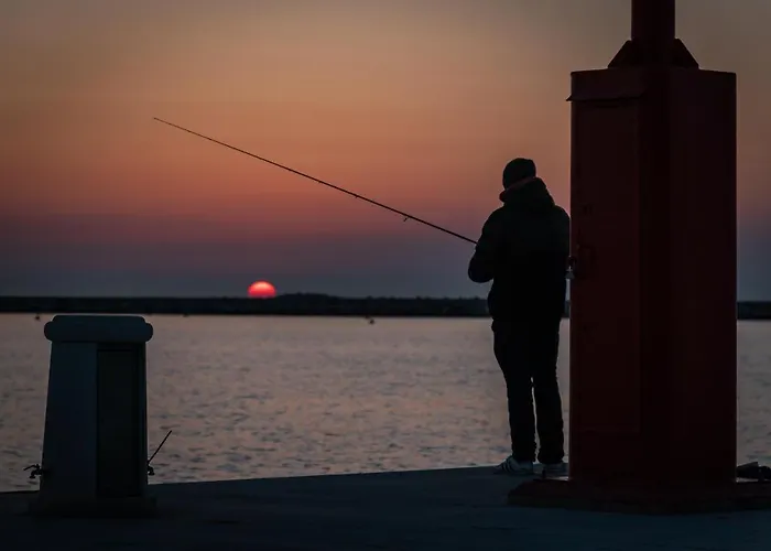 Sofia Сasa de vacaciones Poreč