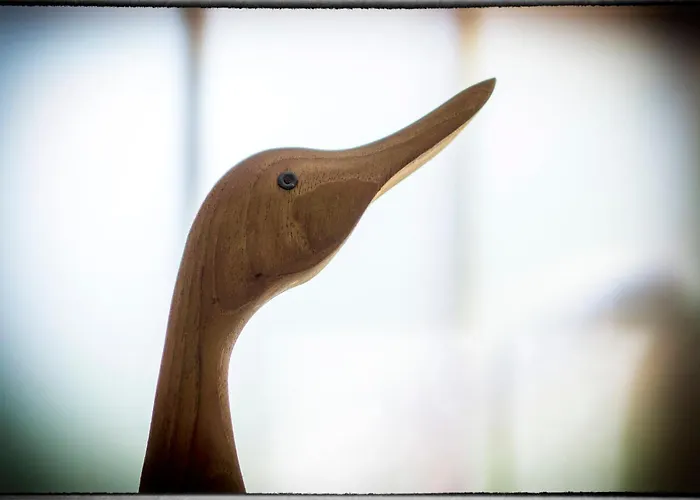 Sofia 펜션 포레치