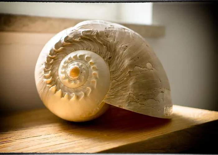 펜션 Sofia 포레치