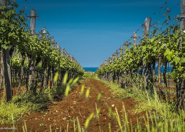 Feriehus Sofia Poreč